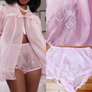 ❗Secrets In Lace Pink Pinup Sheer Full Cut Brief Panty Medium❗